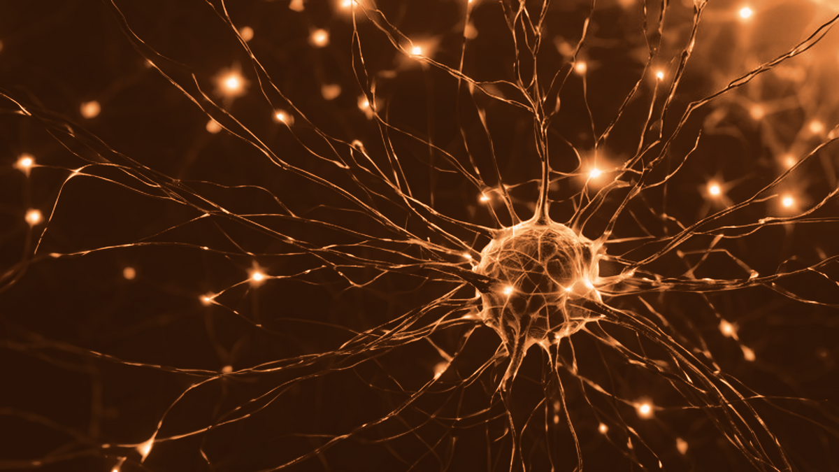 Nervcell med utskott och synapser, i RawThrives färgskala