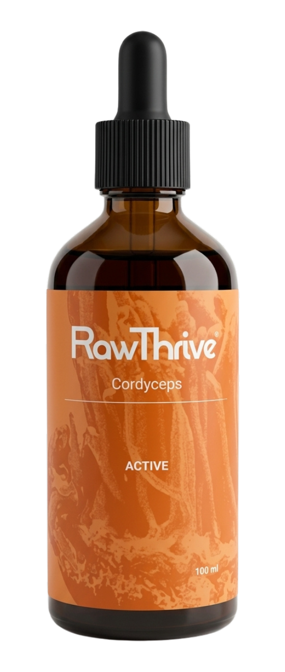 Active — Cordyceps