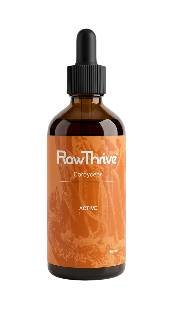 Active — Cordyceps