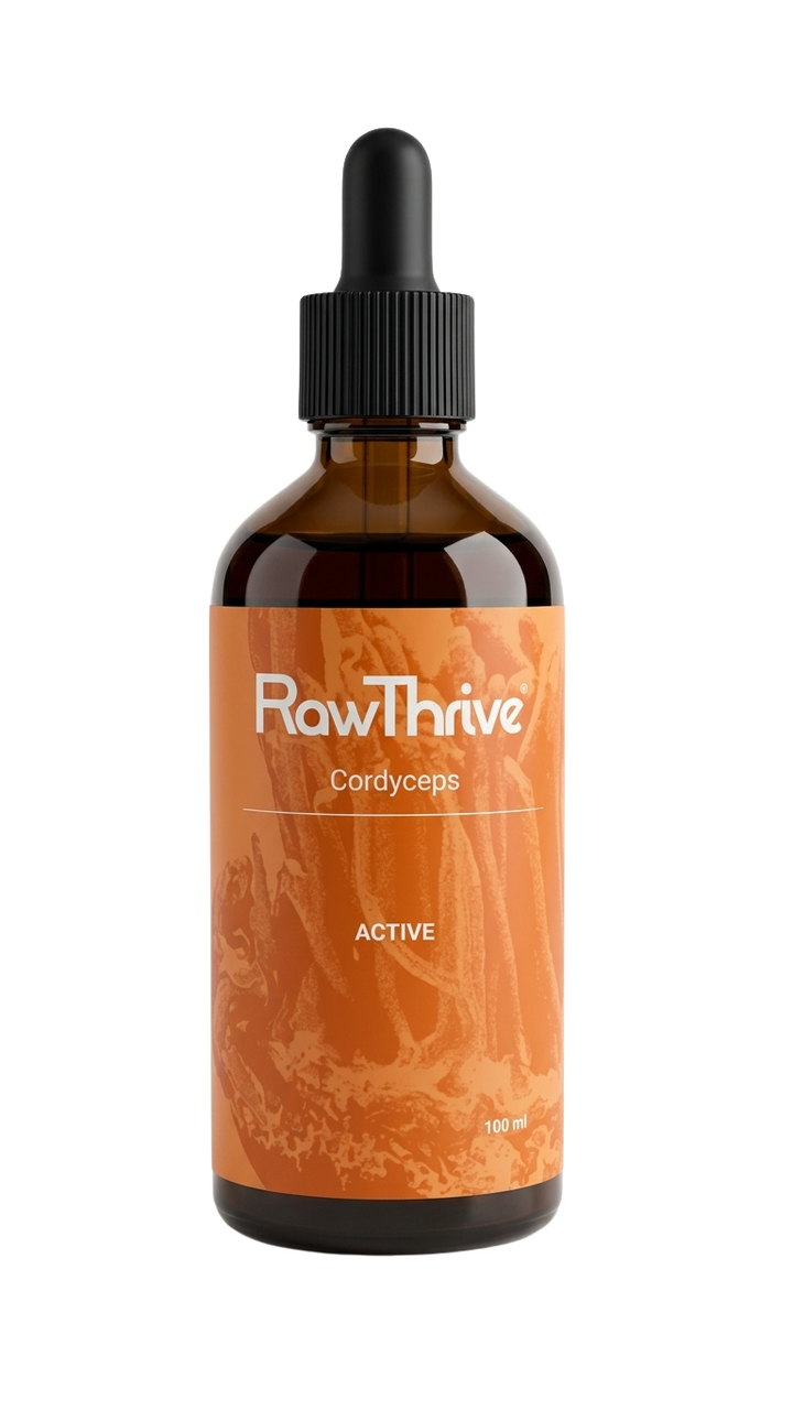 Active — Cordyceps