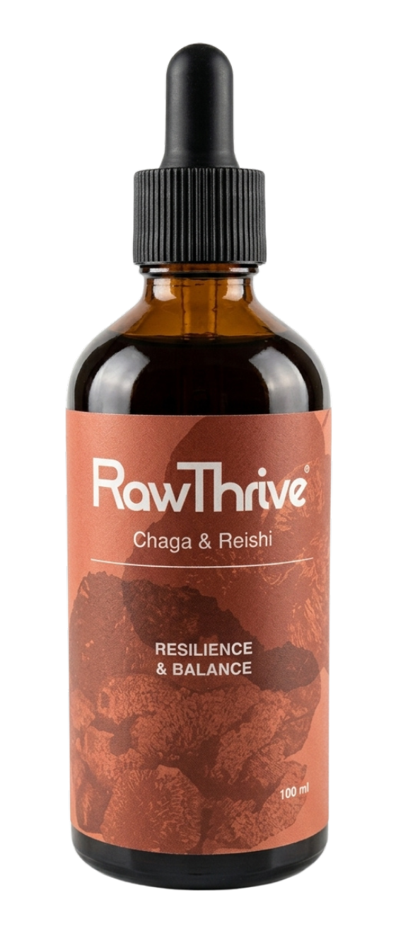 Resilience & Balance — Chaga & Reishi